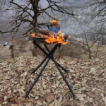 باربکیو پارمیس Parmis BBQ - تصویر 5