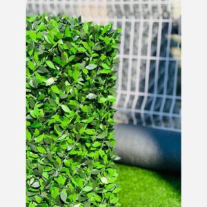 فنس چمنی و دیوار سبز برگ پرتغالی برگ ریحون