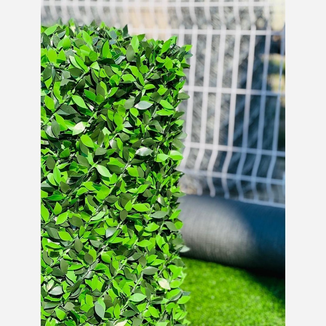Azo1ArQ0NmESBw1E.jpg فنس چمنی و دیوار سبز برگ پرتغالی برگ ریحون - تصویر 1