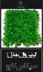 گرین وال مصنوعی مدل سیکاس کاج ۵۰×۵۰