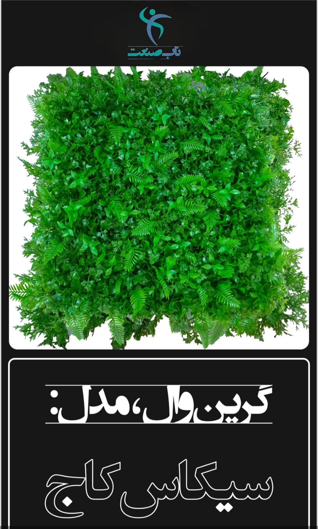 Picsart_26-07-26_14-56-41-014.jpg گرین وال مصنوعی مدل سیکاس کاج ۵۰×۵۰ - تصویر 1