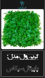 گرین وال مصنوعی مدل پاپیتال سیکاس ۵۰×۵۰