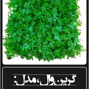 گرین وال مصنوعی مدل پاپیتال سیکاس ۵۰×۵۰