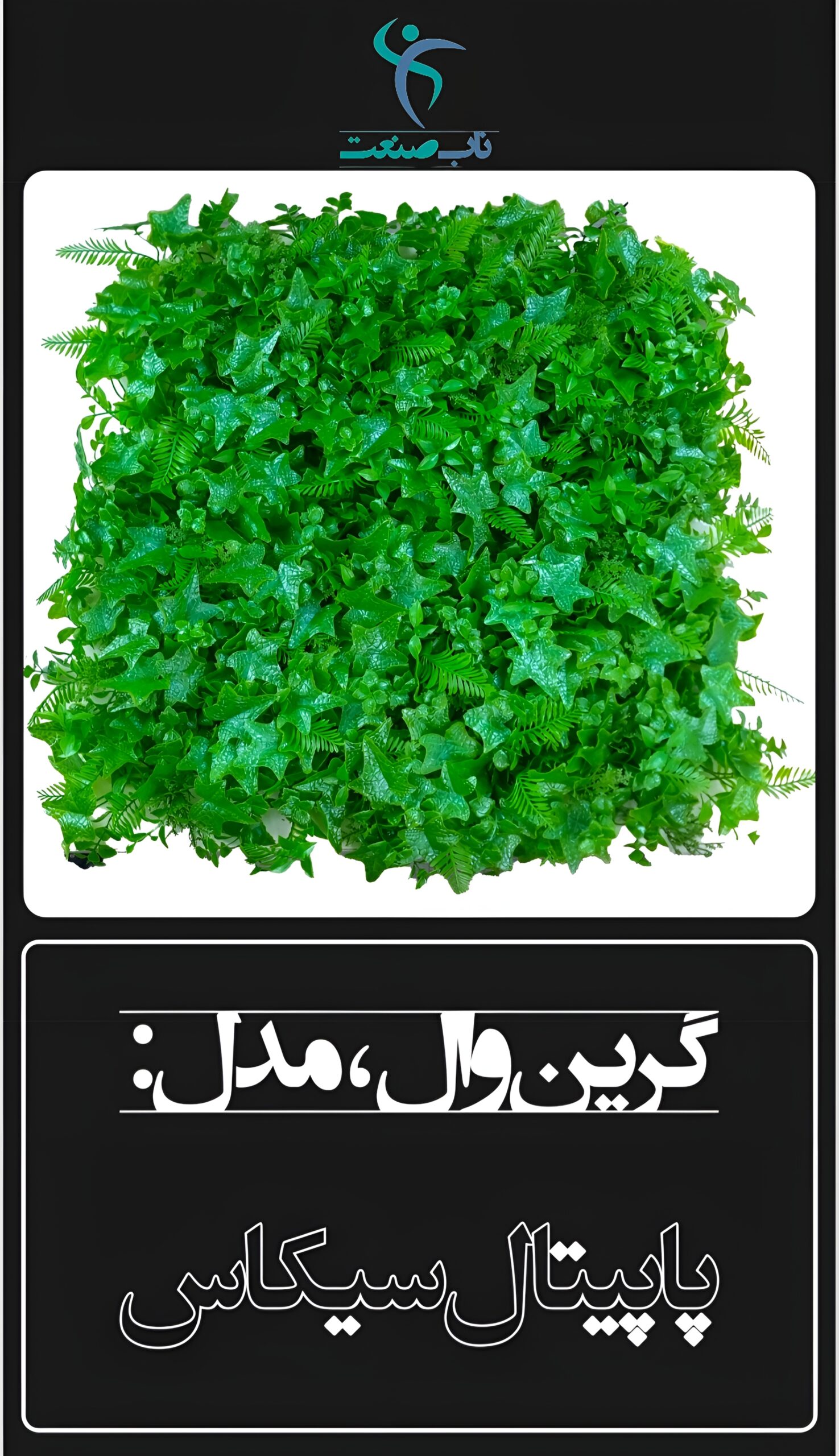 Picsart_26-07-26_15-31-49-665-scaled-1.jpg گرین وال مصنوعی مدل پاپیتال سیکاس ۵۰×۵۰ - تصویر 1