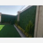 فنس چمنی و دیوار سبز برگ پرتغالی برگ ریحون - تصویر 5